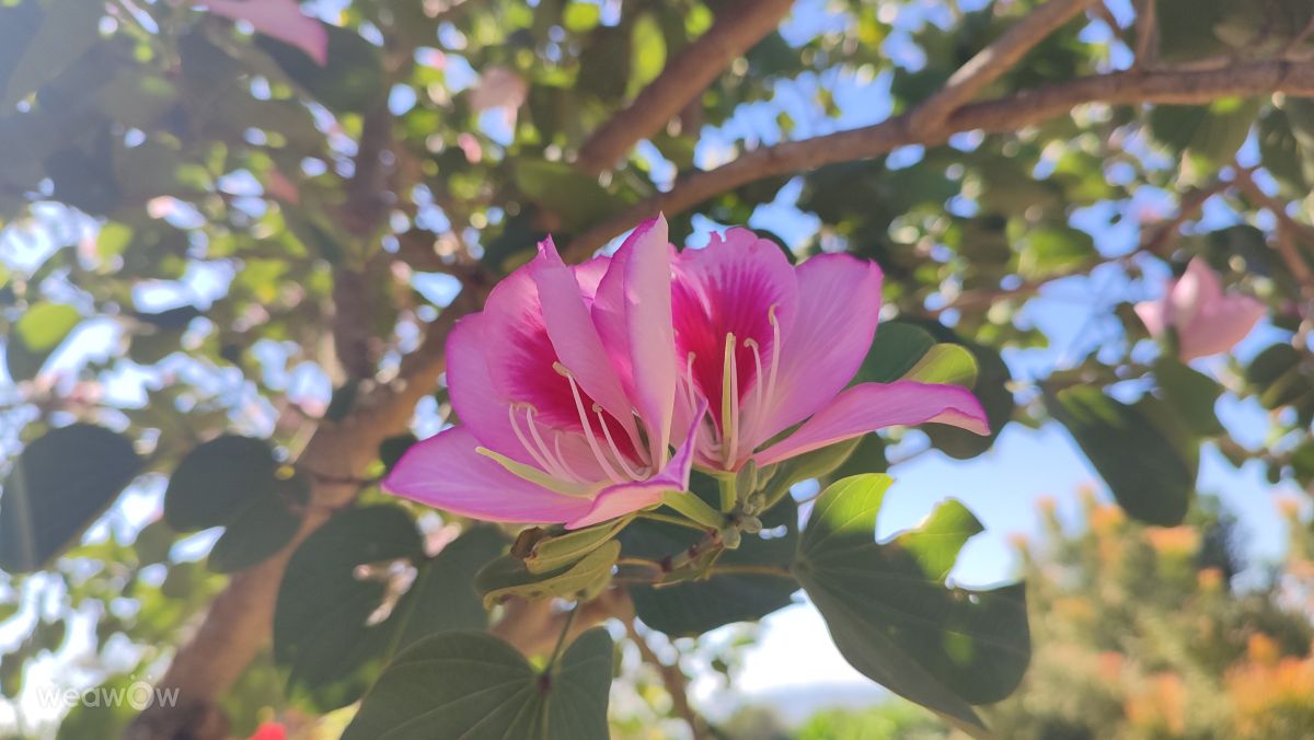 Fotos do tempo em Mpumalanga. Previsões do tempo com lindas fotos de Jarvis9598