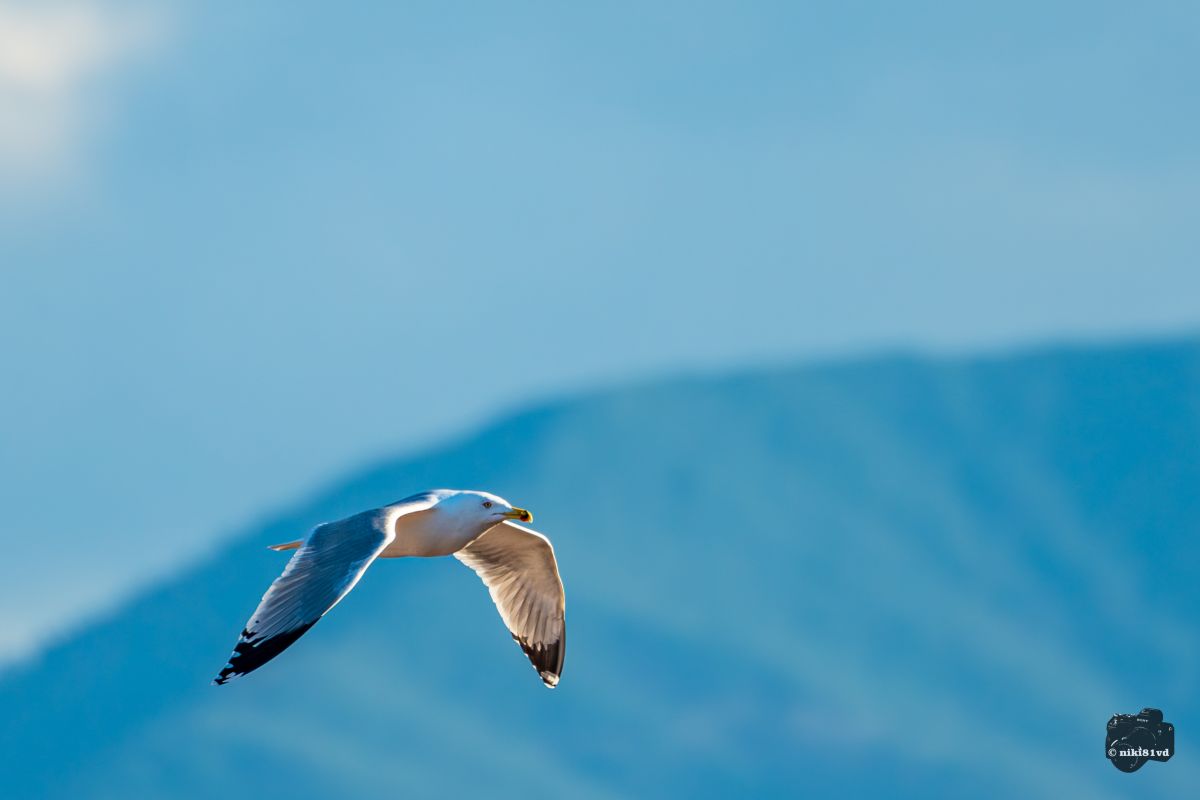 Фотографии Погоды в Пловдив. Прогнозы погоды с чудесными фотографиями, сделанными niki81vd