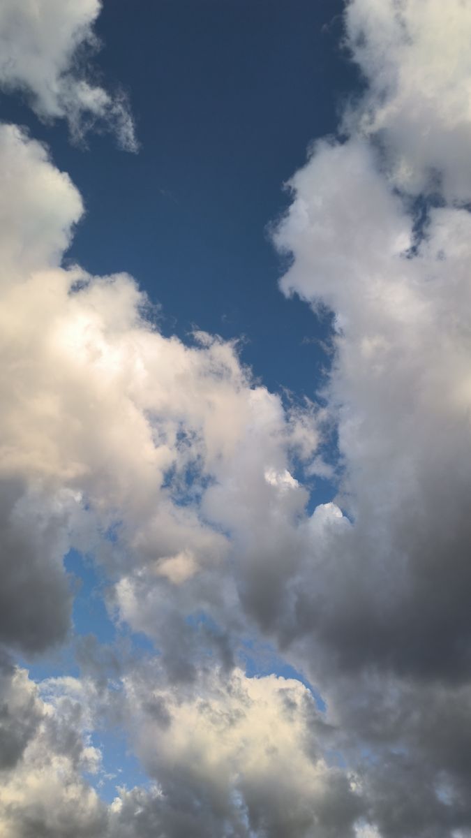 Photographe YanBog, Photos météo à București - Weawow