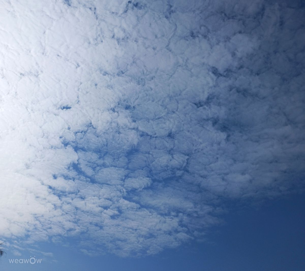 Fotos do tempo em Mykolaiv. Previsões do tempo com lindas fotos de taniabeiker