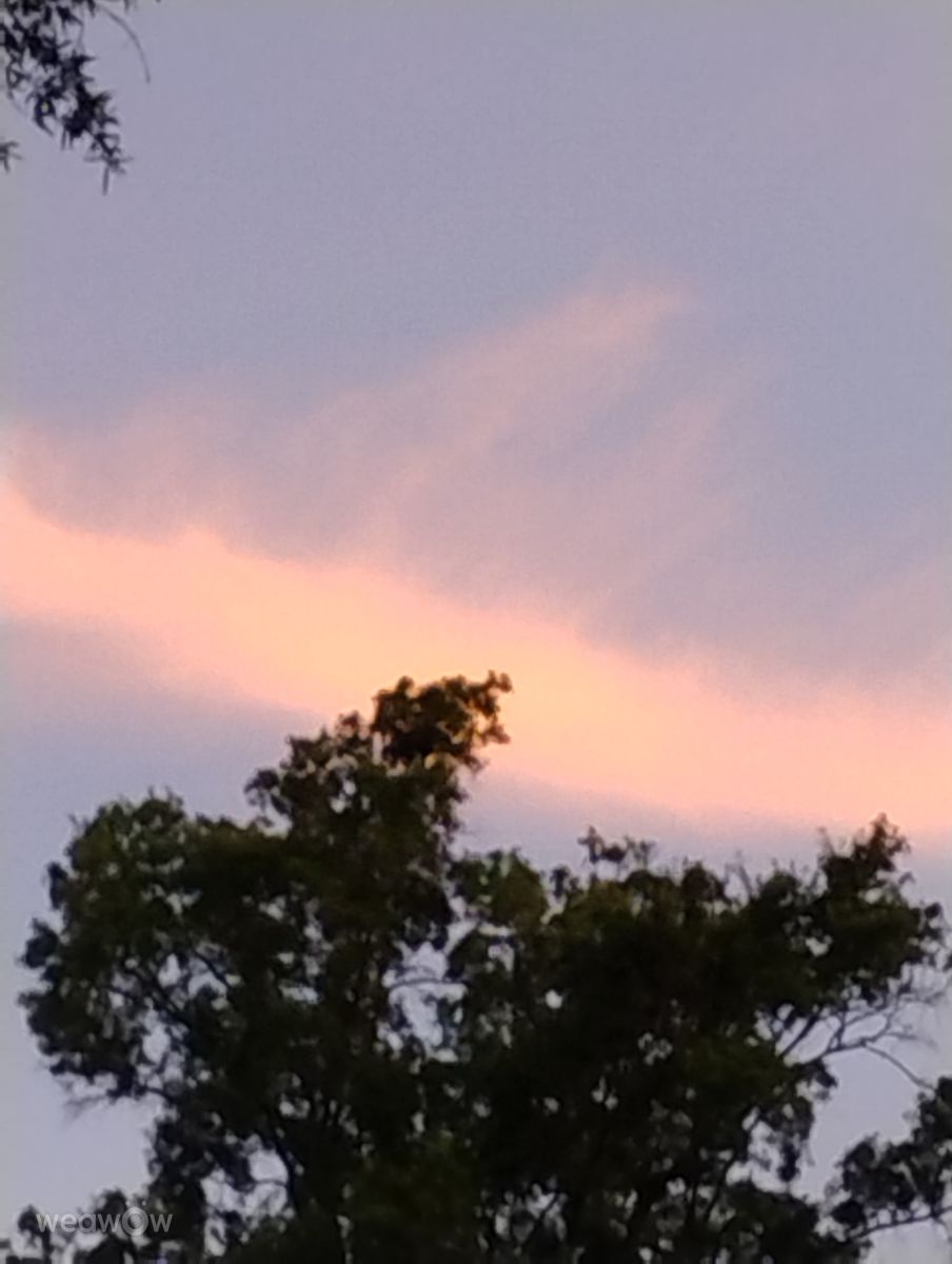Weather Photos in Riverwalk Parkway. Weather forecasts with beautiful photos by Awcat