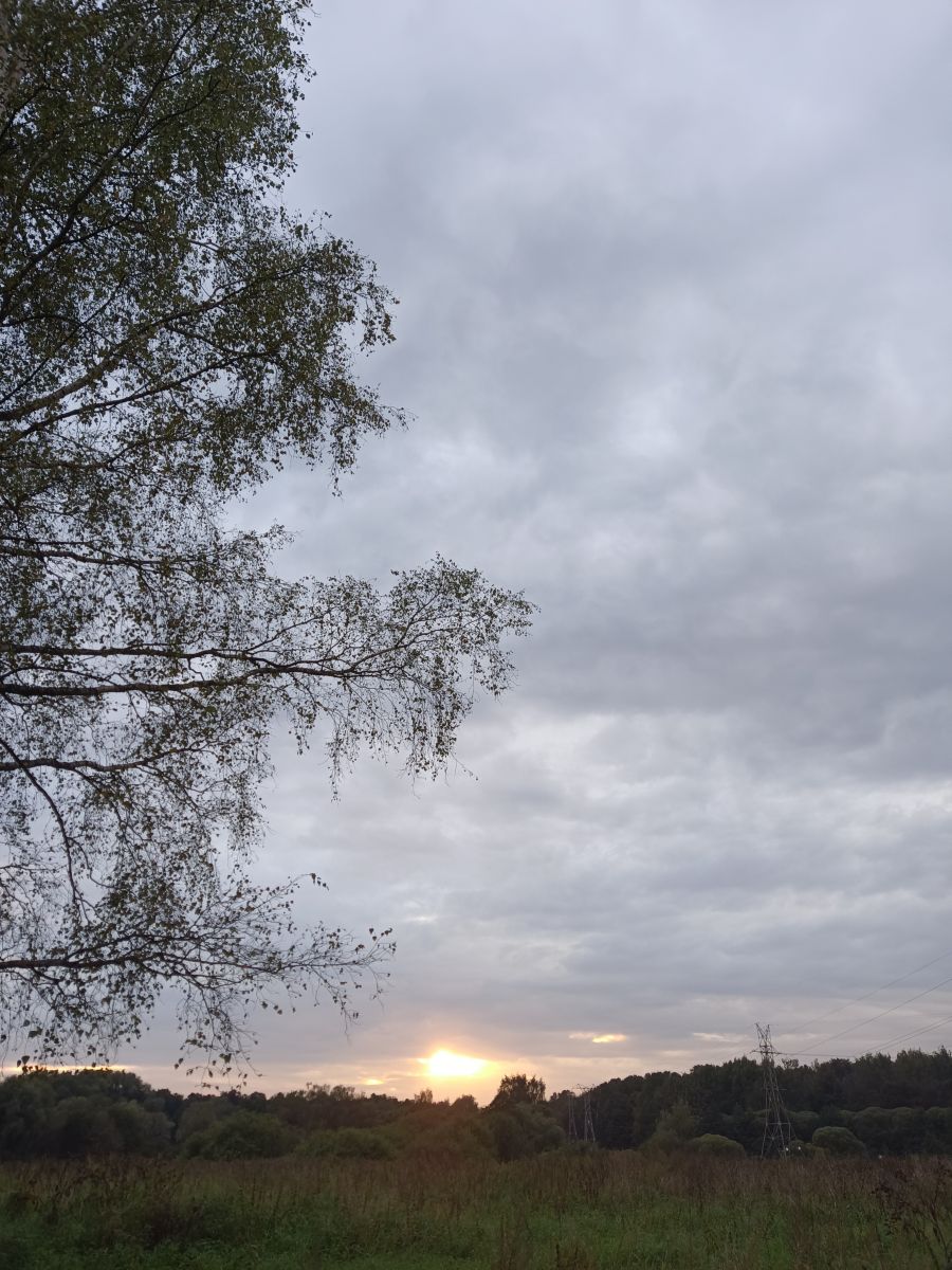 Photographer Amanda_and_Valdemar_Che, Weather Photos in Izmaylovo District - Weawow