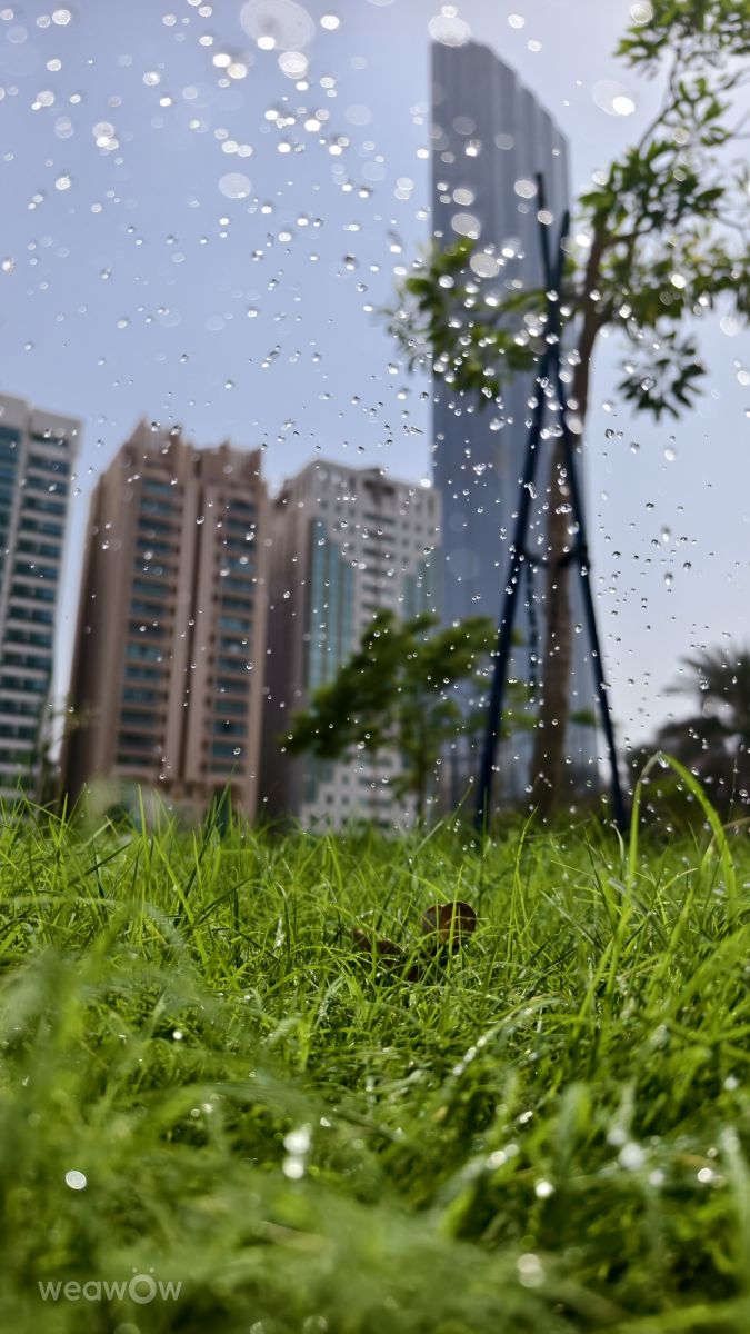 Fotos do tempo em Abu Dabi. Previsões do tempo com lindas fotos de MakiCami