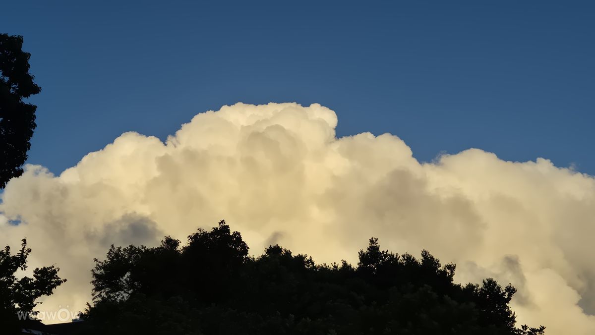 Weather Photos in KwaZulu-Natal. Weather forecasts with beautiful photos by Madelein Zaayman