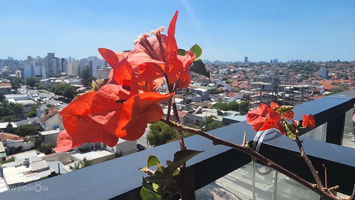 Hình ảnh Thời tiết ở Argentina. Dự báo thời tiết với những bức ảnh đẹp của nano223