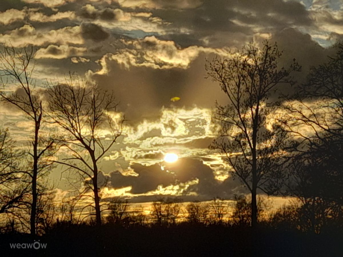 Weather forecasts with beautiful photos by Liv