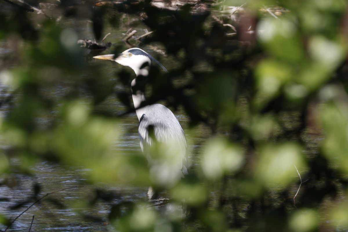 Hình ảnh Thời tiết ở Slovakia. Dự báo thời tiết với những bức ảnh đẹp của MinoB
