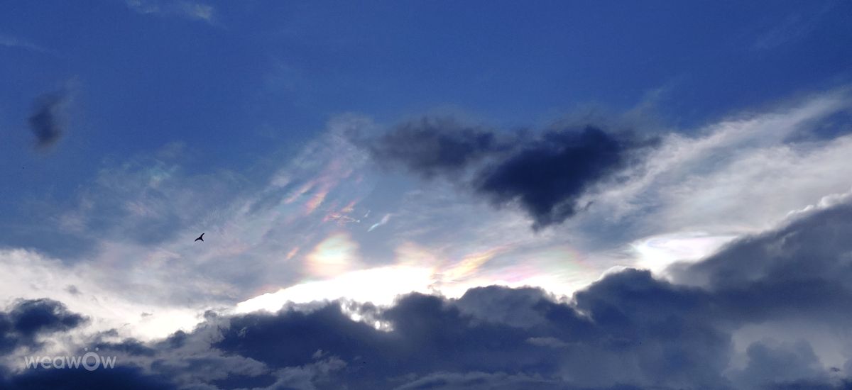 Weather Photos in Mizoram. Weather forecasts with beautiful photos by Zothani_17