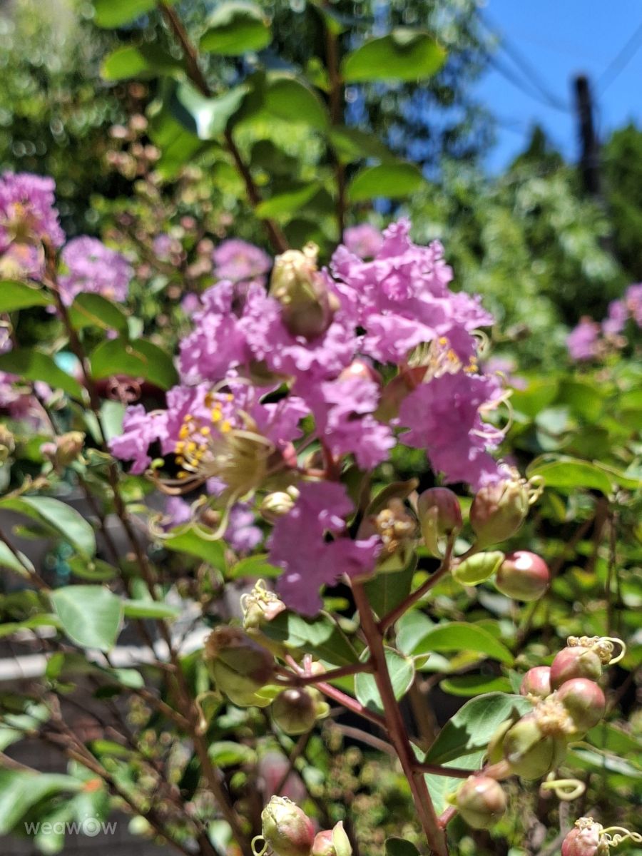 Fotografos Wen-ya Huang, Fotos do tempo em Kaohsiung City - Weawow