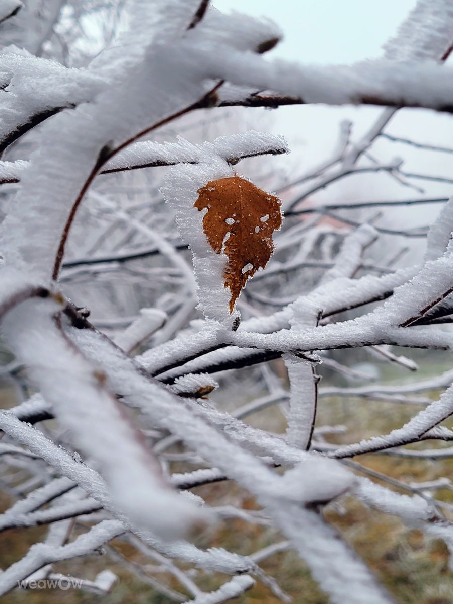 Plzeň Regionの天気写真. hejpetrpepaの美しい写真による天気予報