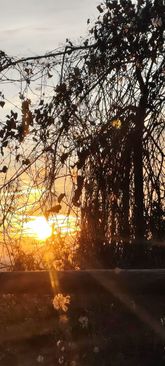 Weather Photos in Ettlingen. Weather forecasts with beautiful photos by Tercis