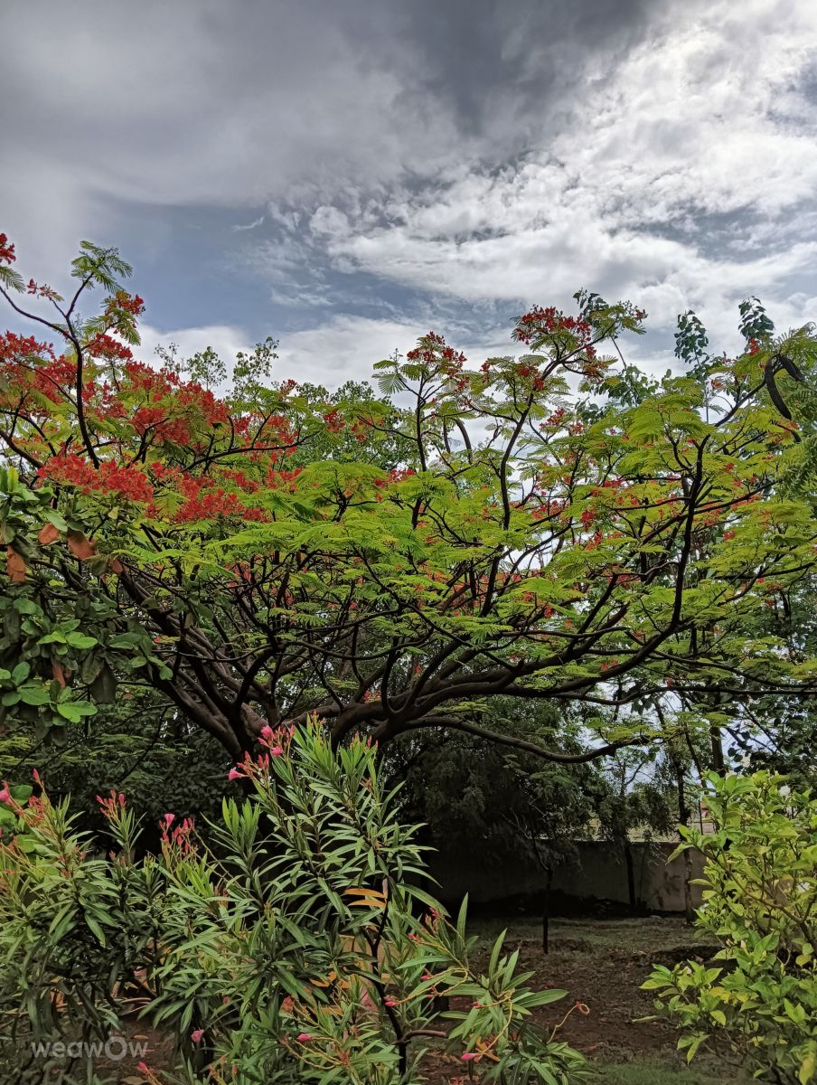 Bijapurの天気写真. Lakshmikanthaの美しい写真による天気予報