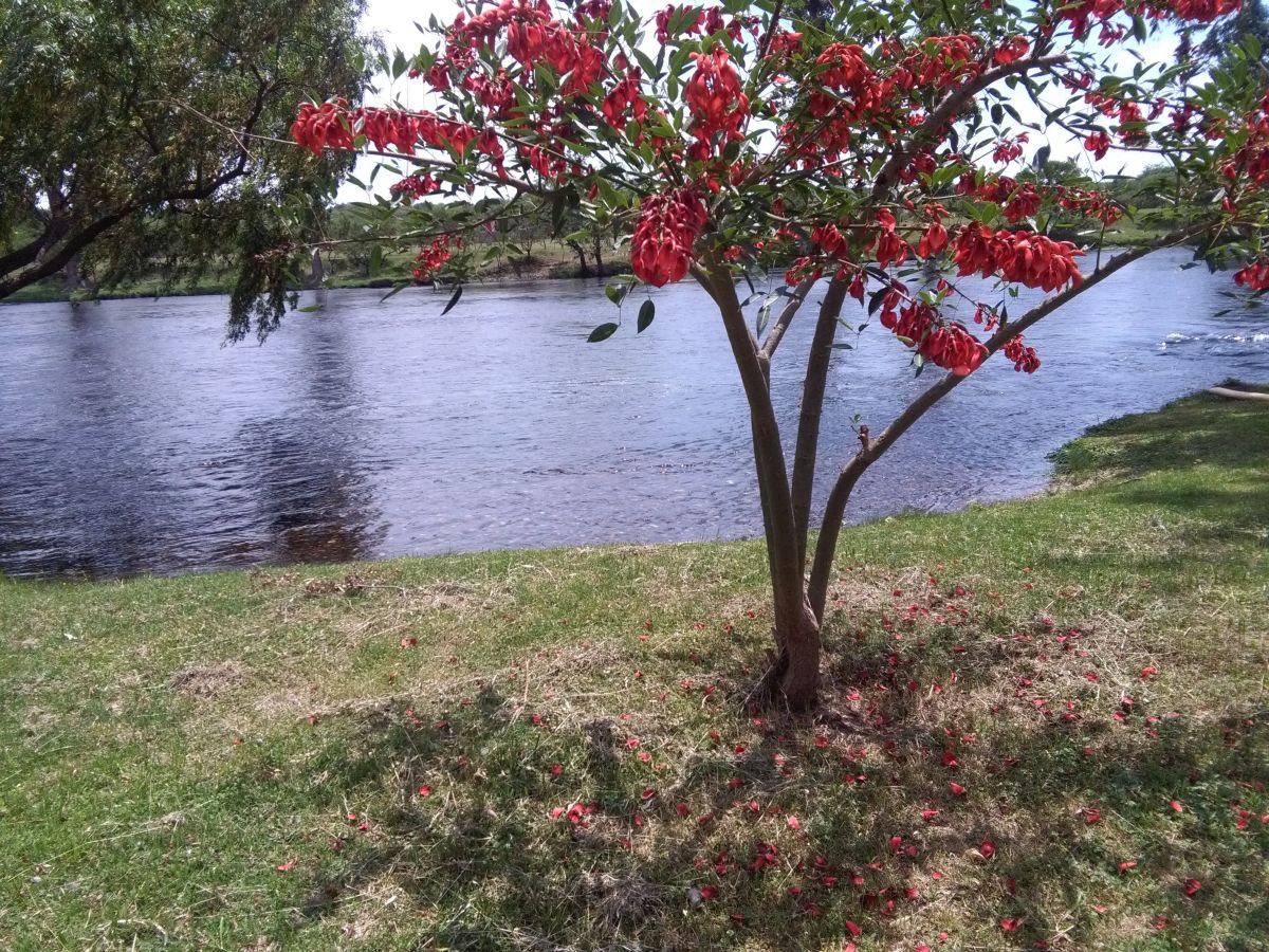 Cordoba的天气照片. 天气预报，带Tatianakumi精美的照片