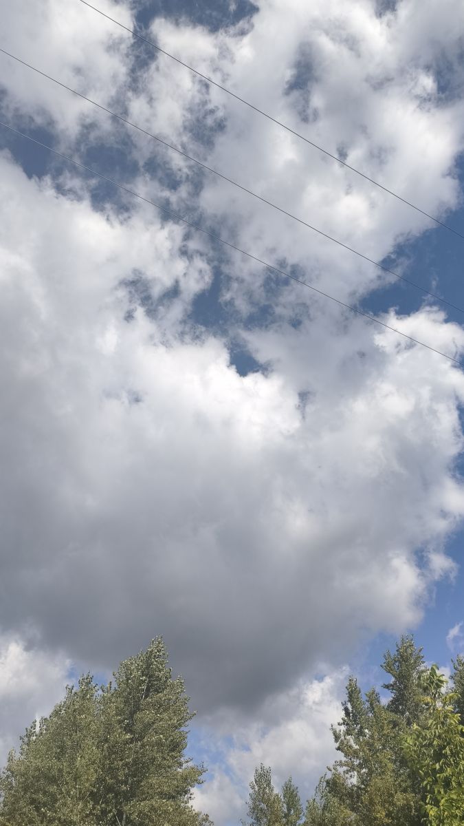 シナヤの天気写真. YanBogの美しい写真による天気予報