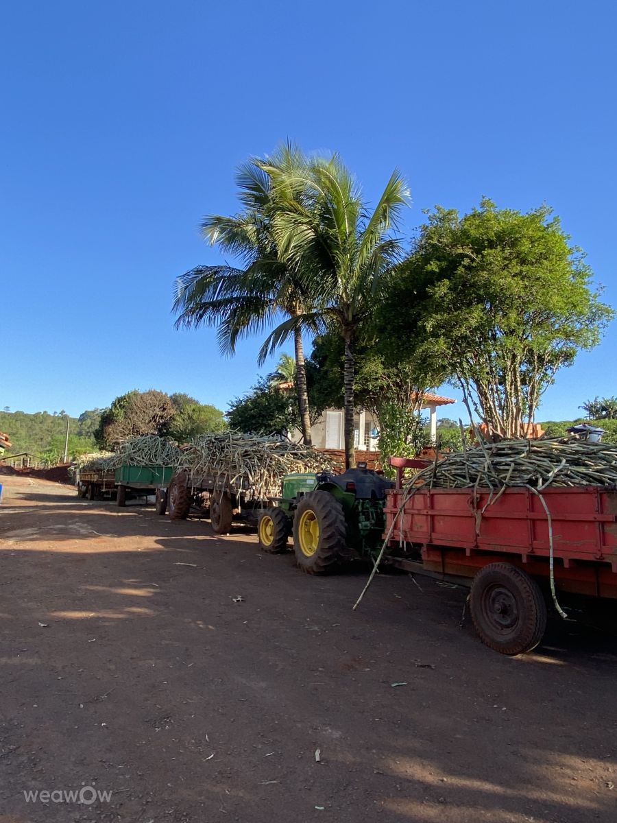 Hình ảnh Thời tiết ở Paraná. Dự báo thời tiết với những bức ảnh đẹp của Luiz Carlos