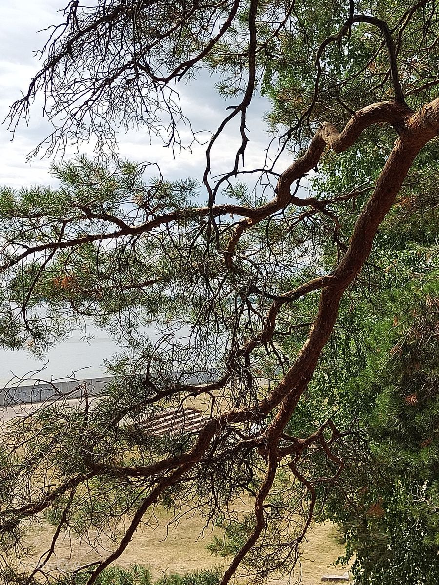 Weather Photos in Mariy-El Republic. Weather forecasts with beautiful photos by Наталия_В