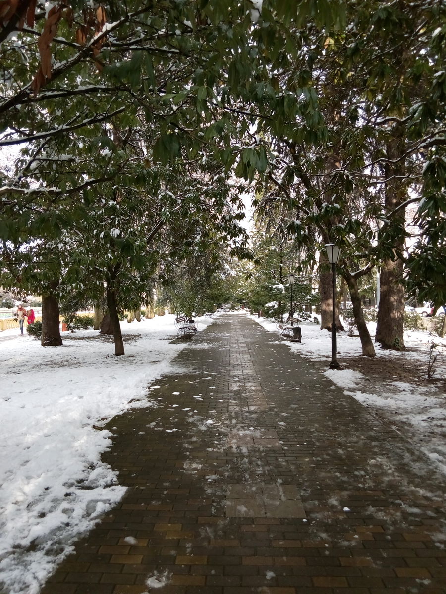 Fotógrafo MariaB, Fotos sobre el clima en Sochi - Weawow