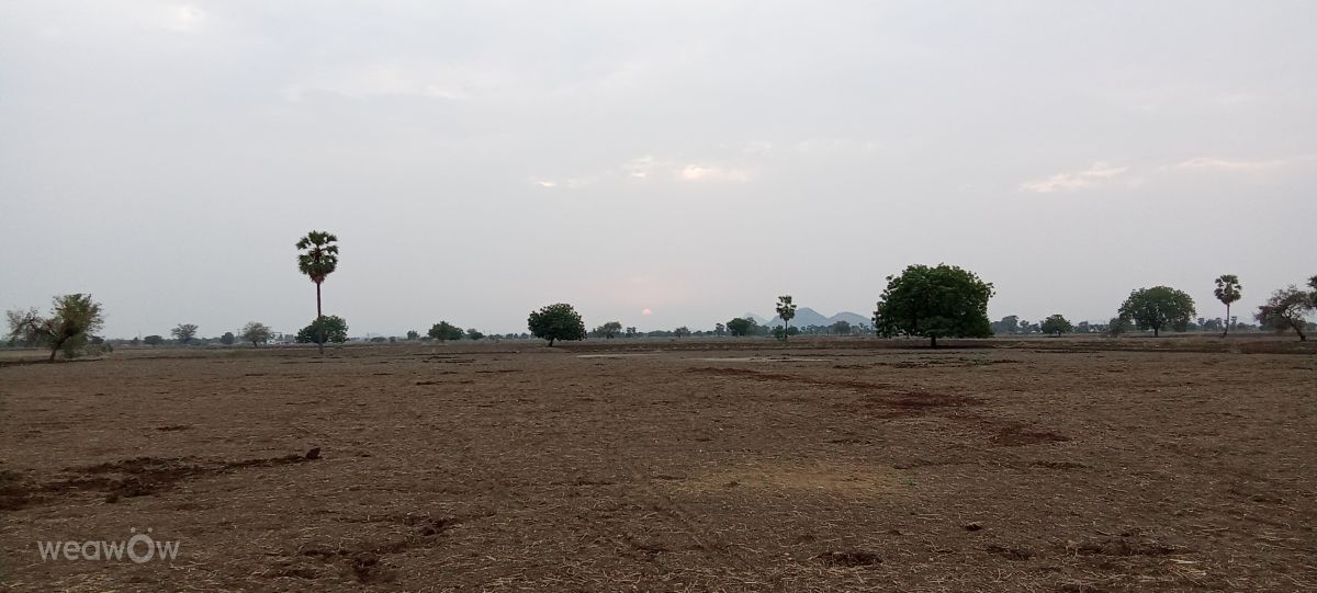 Weather Photos in Andhra Pradesh. Weather forecasts with beautiful photos by Imadabattini Bosu Babu