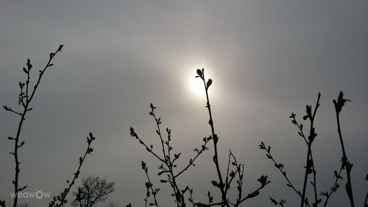 Fotos do tempo em Vaslui. Previsões do tempo com lindas fotos de rossg