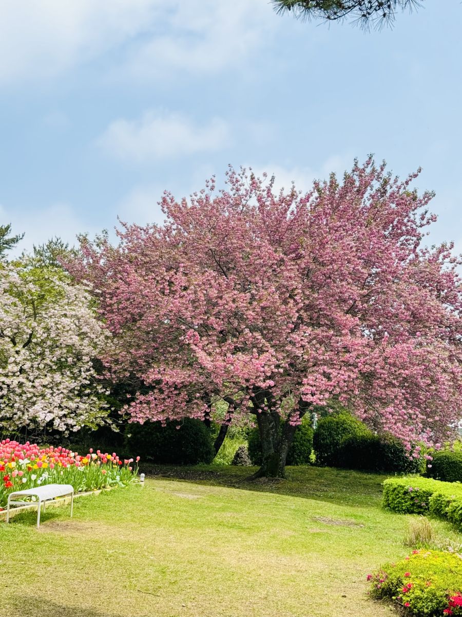 Weather forecasts with beautiful photos by sojeong