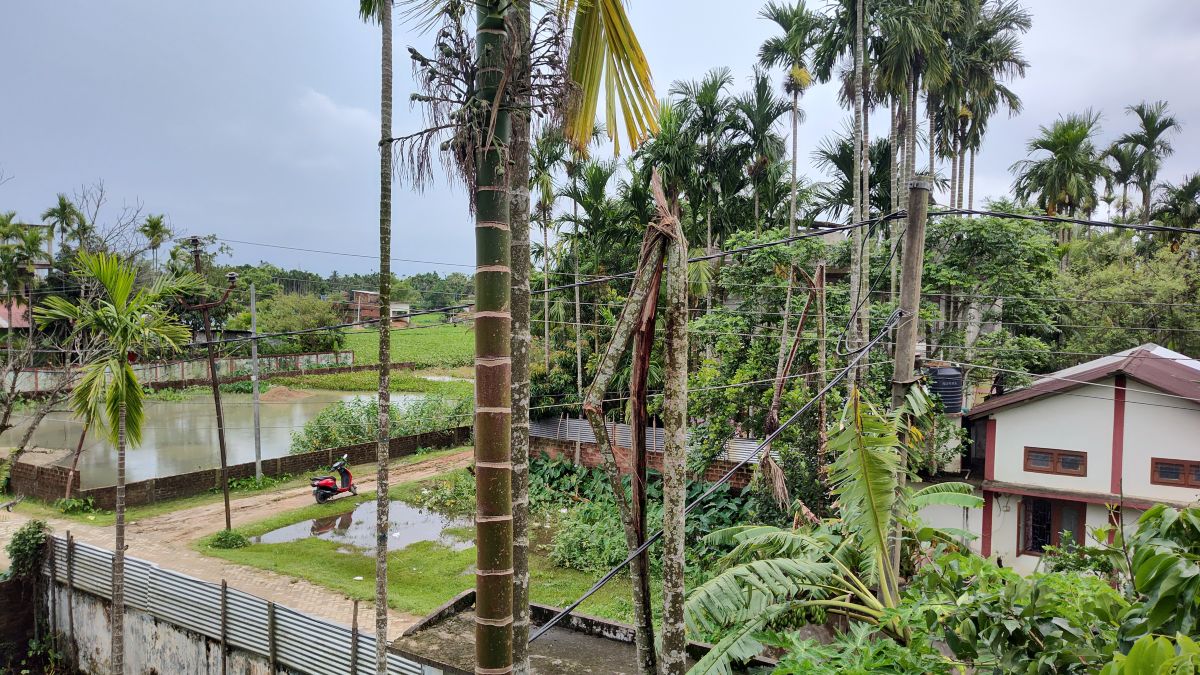 Weather Photos in Hailakandi. Weather forecasts with beautiful photos by MohiUddin