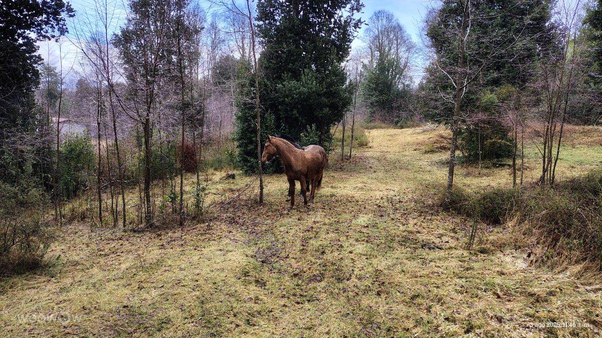 Fotos sobre el clima en Chile. Pronósticos del tiempo con hermosas fotos de Bruno Bianchi Herrera