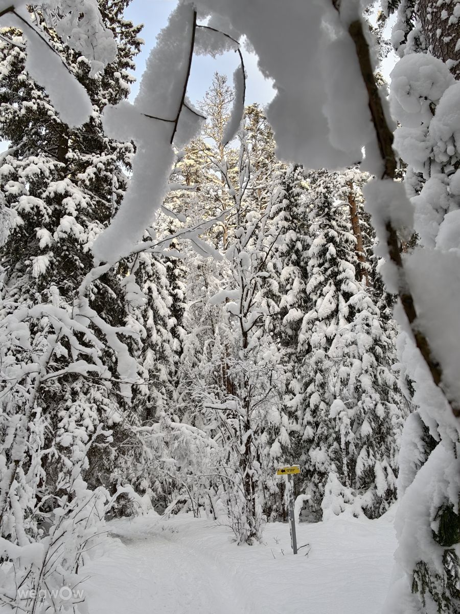 Photos météo à Leningrad. Prévisions météo avec de superbes photos de Urix