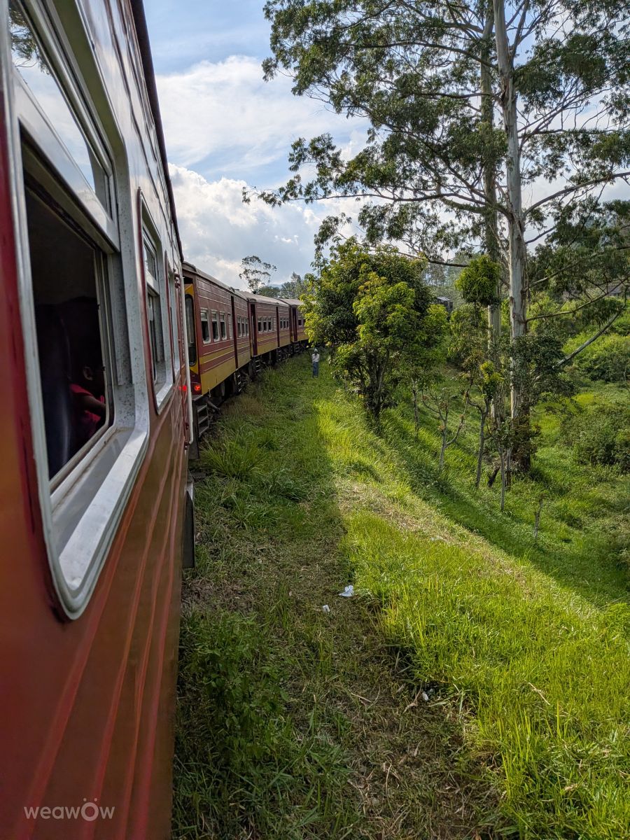 Weather forecasts with beautiful photos by lunatibi