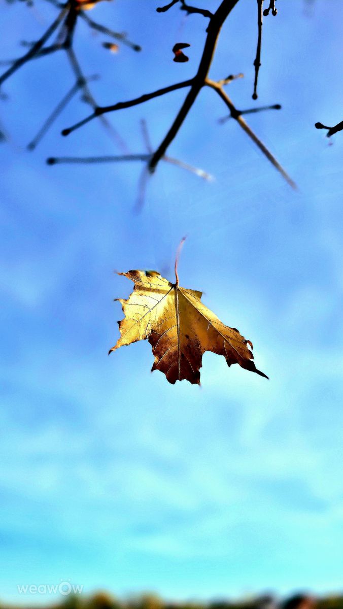 Fotografos Hela, Fotos do tempo em Bavaria - Weawow