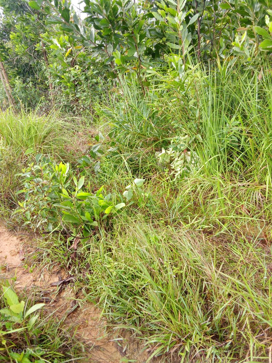 Weather Photos in Indonesia. Weather forecasts with beautiful photos by ararendra