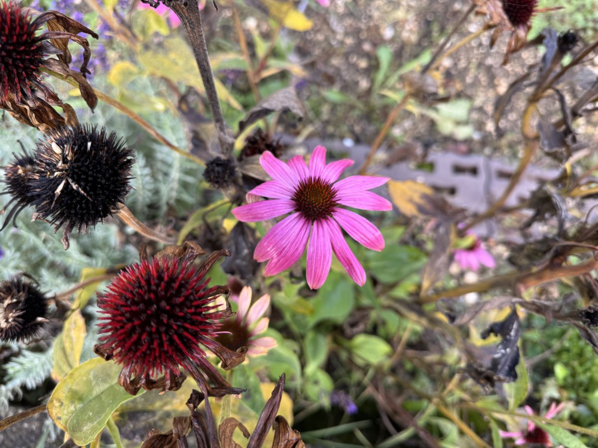 Photos météo à Sonceboz. Prévisions météo avec de superbes photos de SwissEloi