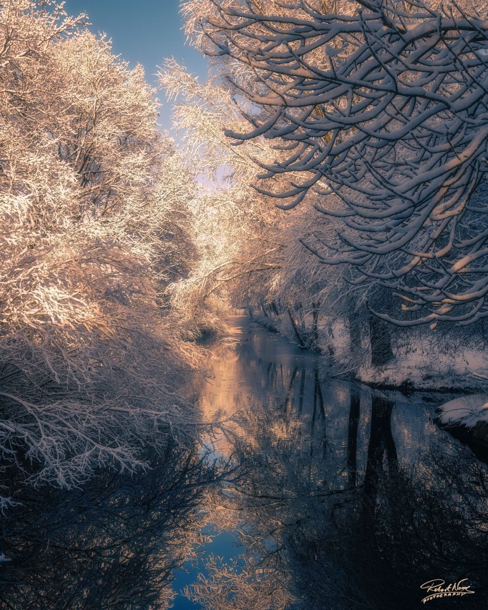 Photographer RobertNagaj, Weather Photos in Hamburg - Weawow