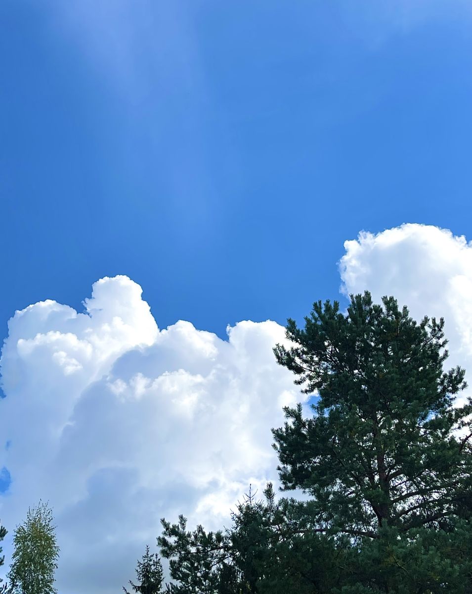エストニアの天気写真. Dmitry8の美しい写真による天気予報