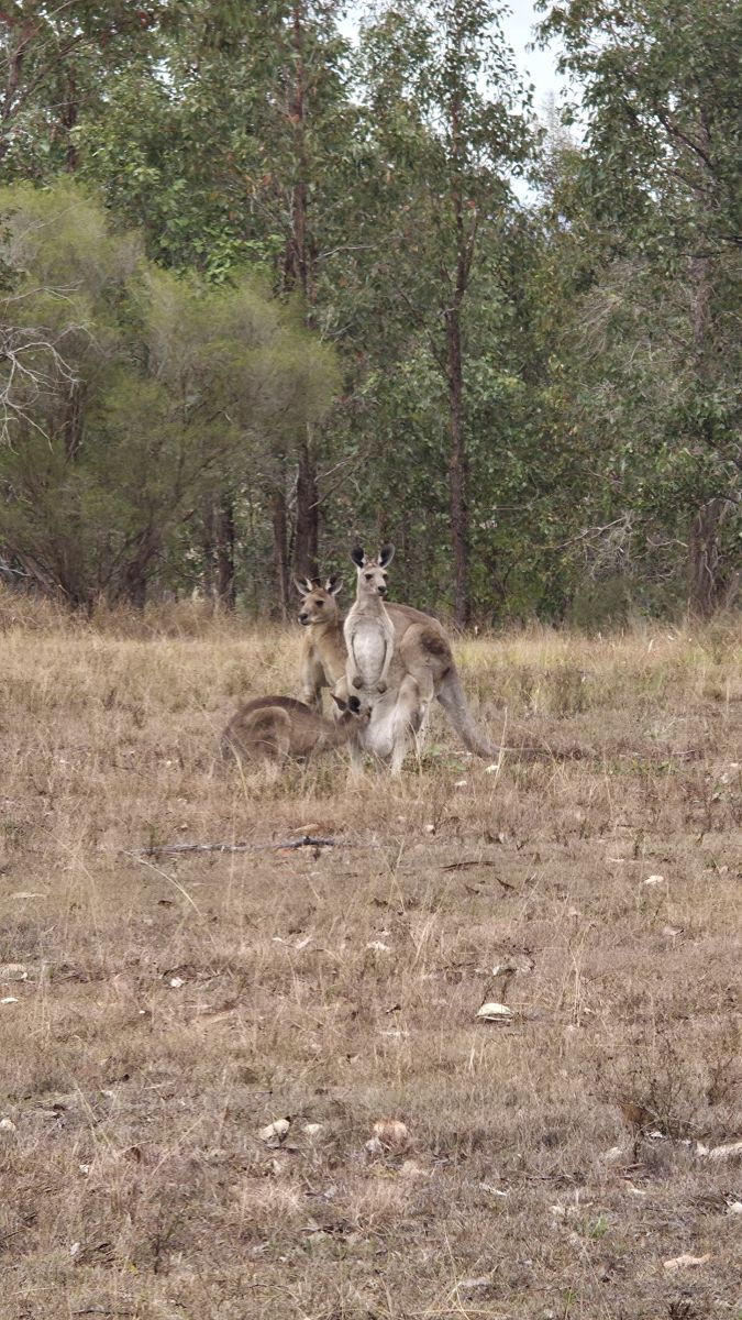 Weather Photos in Australia. Weather forecasts with beautiful photos by FrogAdams