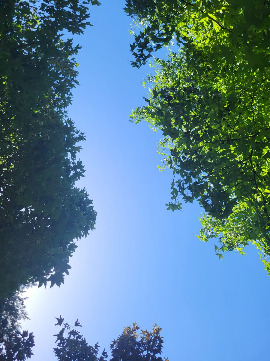 Fotos sobre el clima en Mercado. Pronósticos del tiempo con hermosas fotos de Hraesvelgr