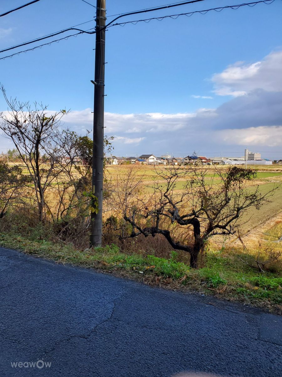 Weather Photos in Gifu. Weather forecasts with beautiful photos by Zakimi_Seisho