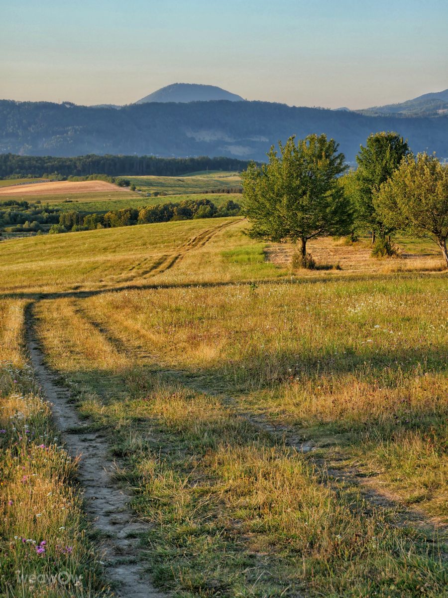 Weather forecasts with beautiful photos by _richardd