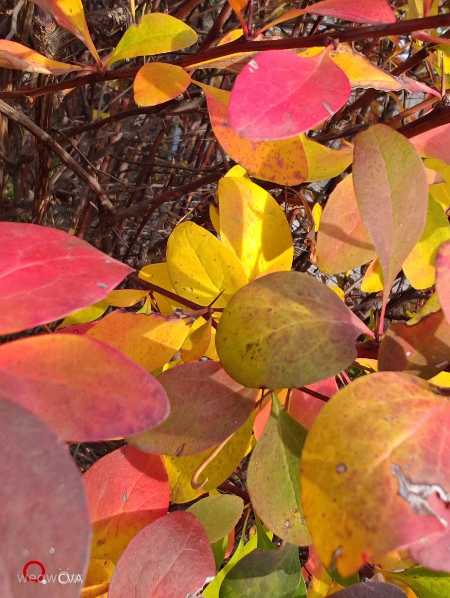 Фотографии Погоды в Кишинёв. Прогнозы погоды с чудесными фотографиями, сделанными UnKKas