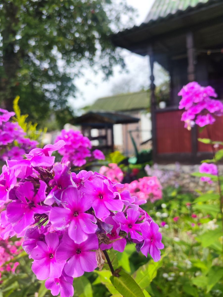 Weather Photos in Minsk. Weather forecasts with beautiful photos by Neckoby
