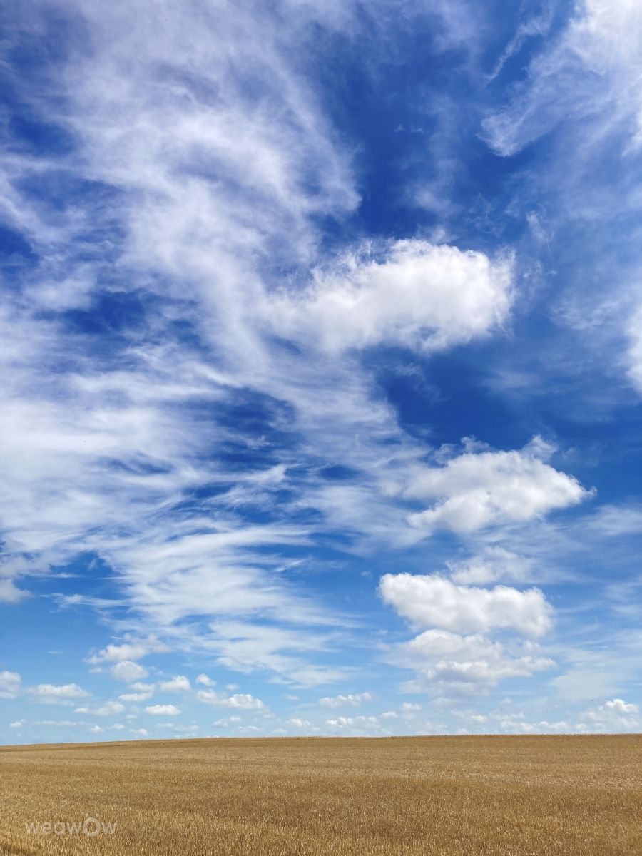 Photographer prairiesands, Weather Photos in Kansas - Weawow