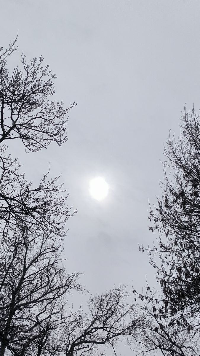 Fotos do tempo em Romênia. Previsões do tempo com lindas fotos de YanBog