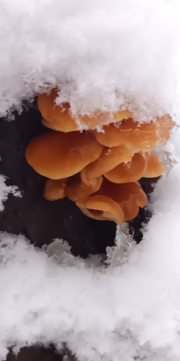 ロシアの天気写真. kazimir_belevの美しい写真による天気予報