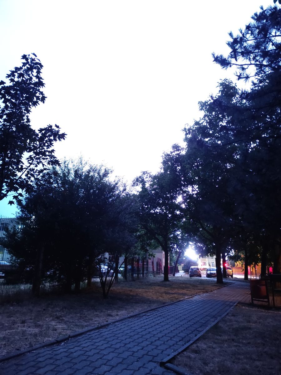 Photographer Lupsaman, Weather Photos in Timișoara - Weawow