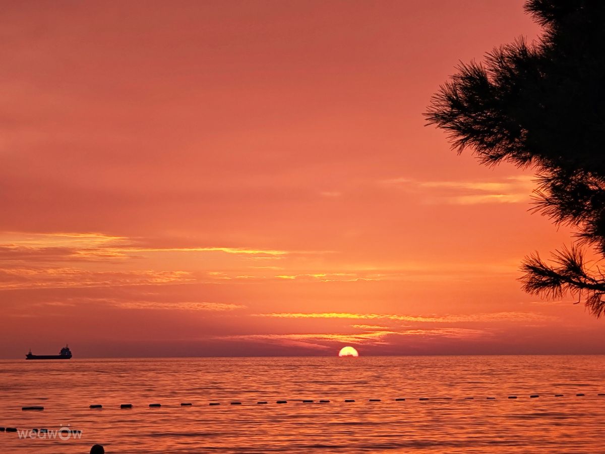 Weather forecasts with beautiful photos by Aleksandar Vujicic