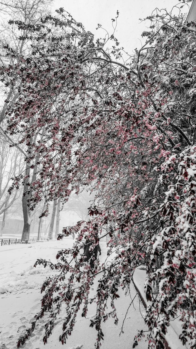 Фотографии Погоды в Николаев. Прогнозы погоды с чудесными фотографиями, сделанными LiliiaRakutina