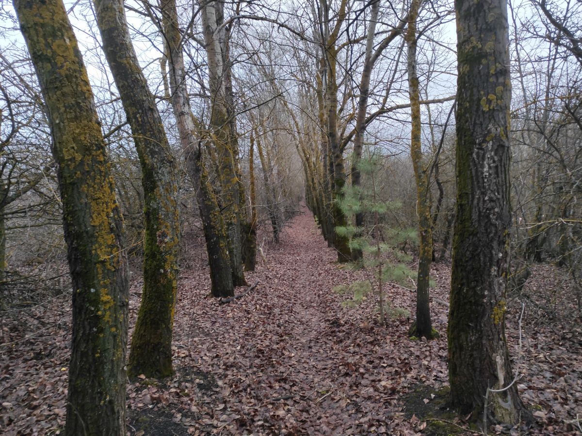 Wetter Photos Mordwinien. Wettervorhersagen mit schönen Fotos von Вильдим