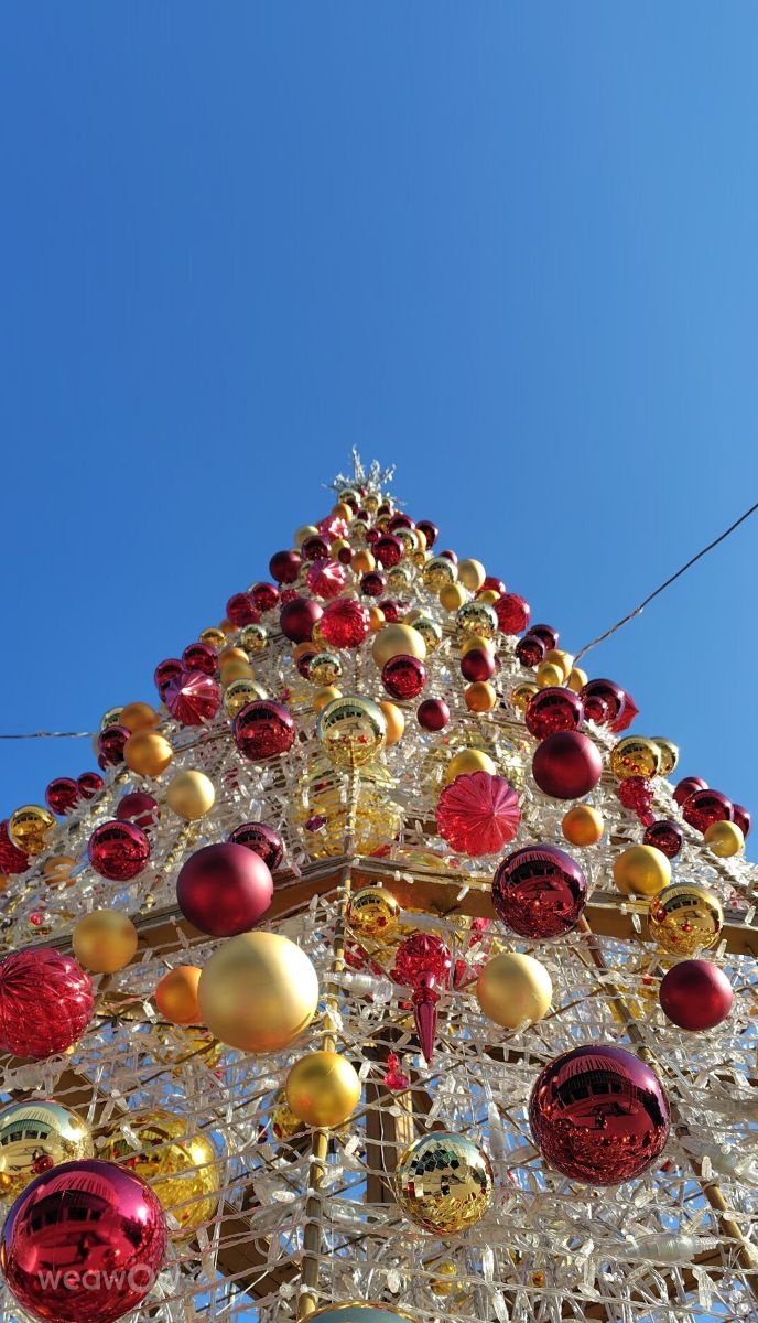 Photographer umemui, Weather Photos in Honshu - Weawow