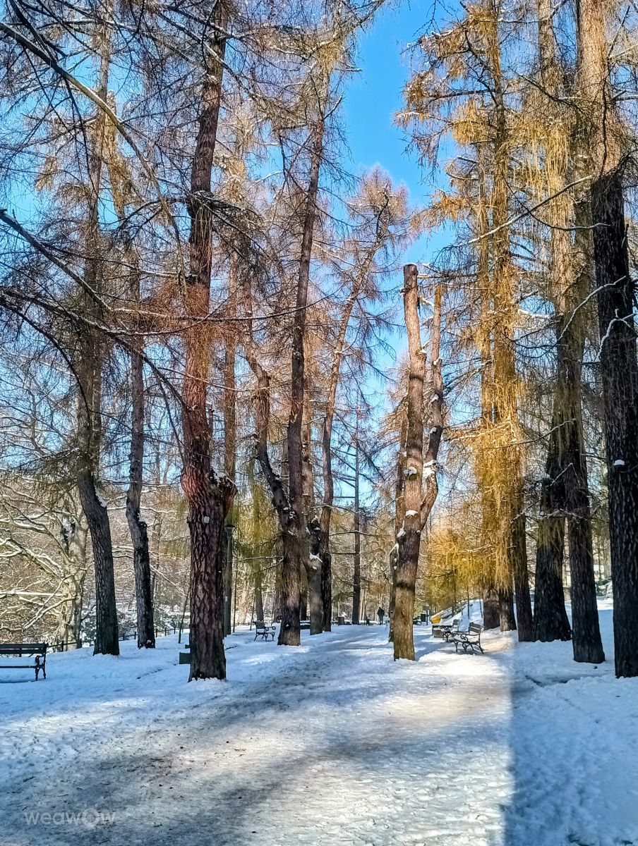 Photograph Kripo, Wetter Photos Ladek Zdroj - Weawow