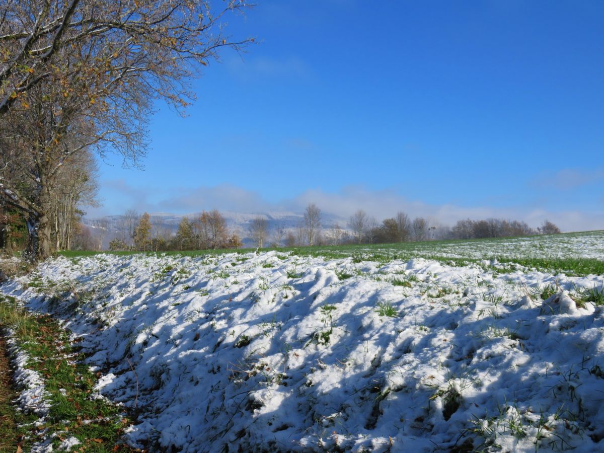 Weather Photos in Le Mayet-de-Montagne. Weather forecasts with beautiful photos by MariePhotos