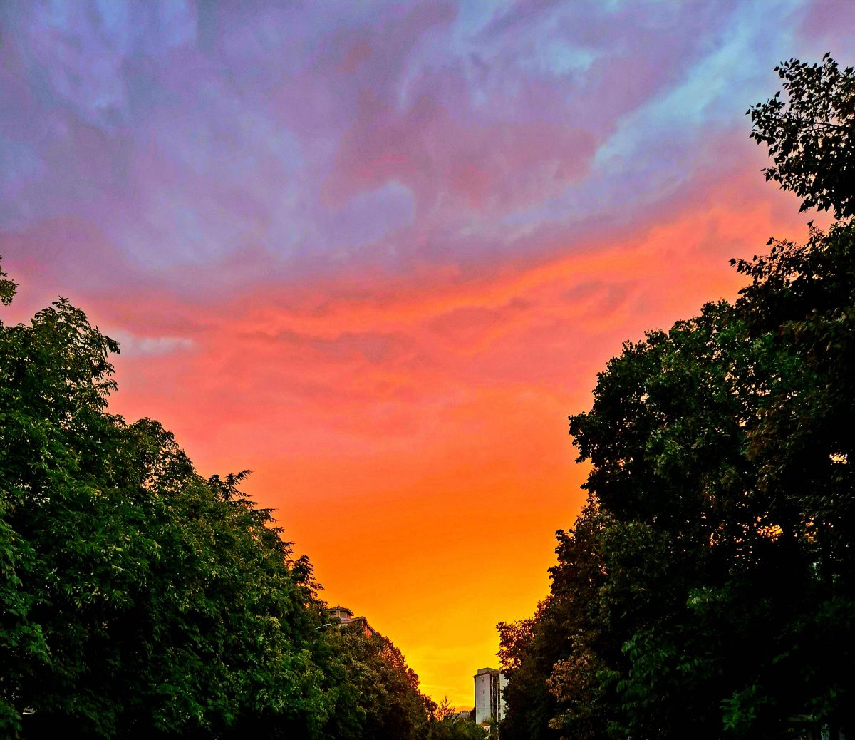 Aleksandar Spasovskiの美しい写真による天気予報